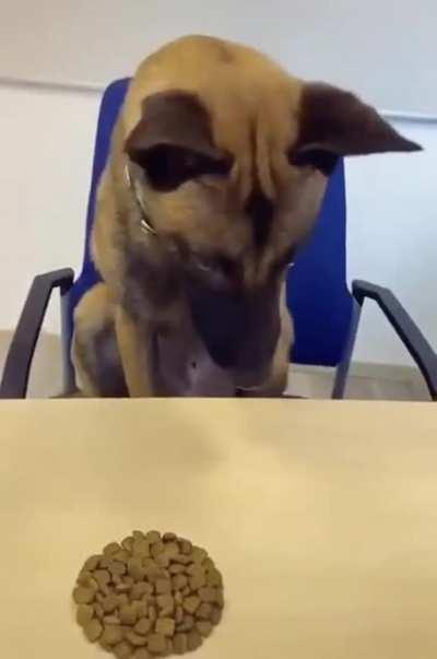 The look at the end says it all