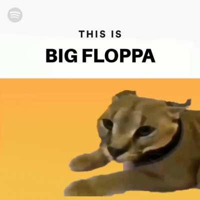 This is Big Floppa