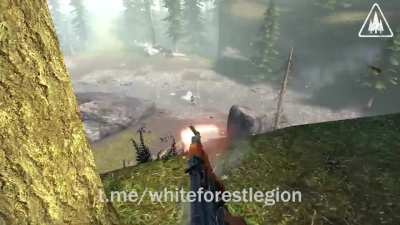 Successful offensives carried out in White Forest