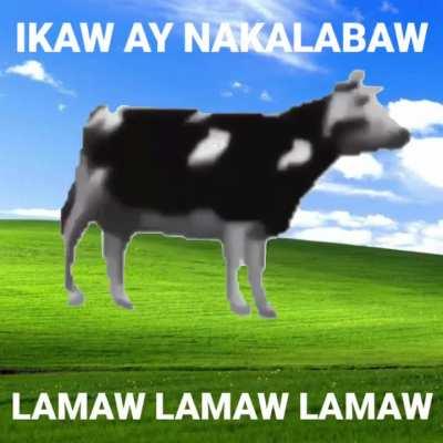 Bro just got Kalabawed