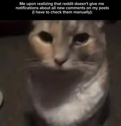 real (what the fuck reddit?)