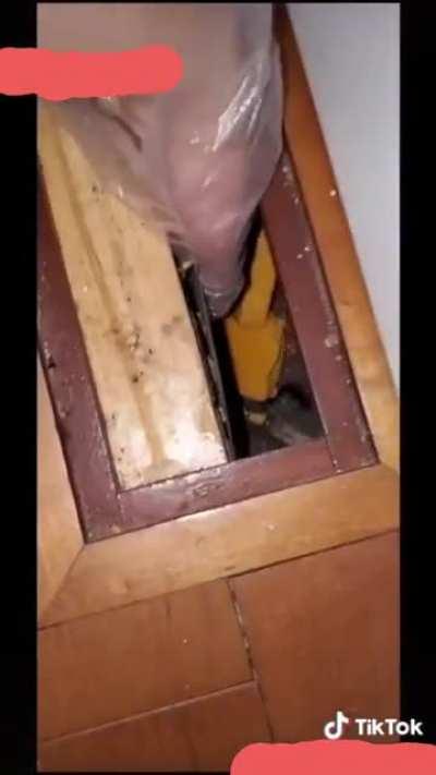 Roommate kicked her out so she posted videos of her getting revenge (pouring old hair dye into his shampoo, ketchup into his drawers, bleach in his detergent and this)