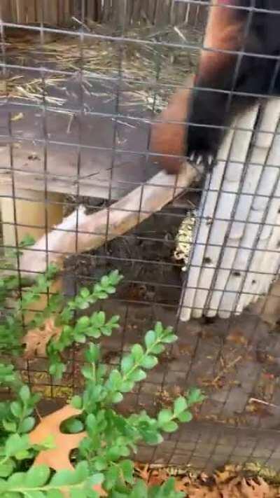 Had a wonderful day at the zoo