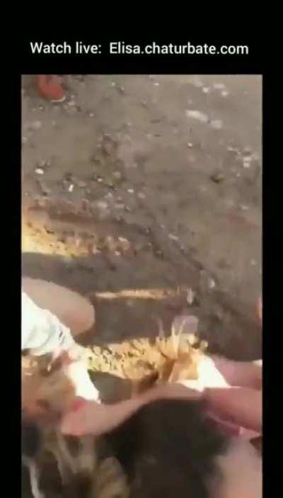 Lol! How She Throw Herself and Lose