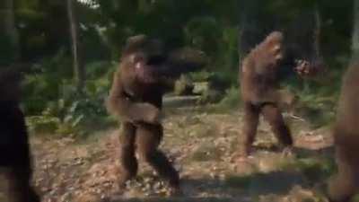 Lord dışarı çıkınca party