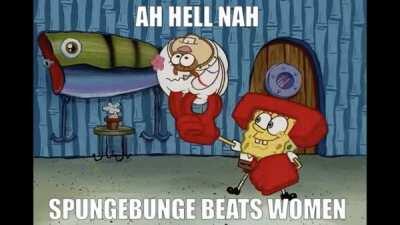 domestic battery spundge