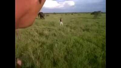 Drunk madlad charges at a wild elephant!