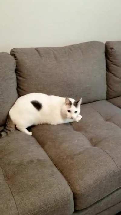 nobody scares me and gets away with it