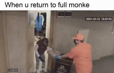Reject Humanity,Return to monke