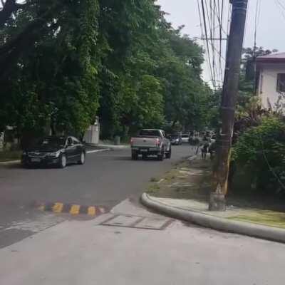 A random Ostrich appeared in my neighborhood today