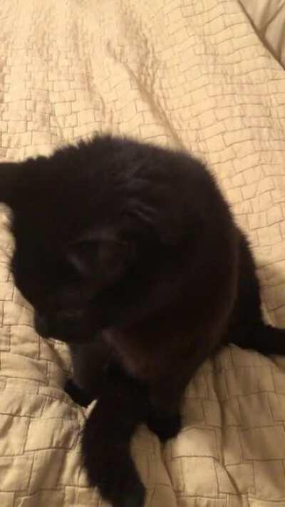 Jack’s Christmas Carol