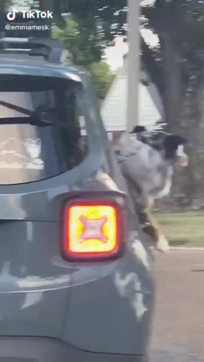 My Dad’s Favorite Tiktoks: pt 5 (Tonight’s Favorite)