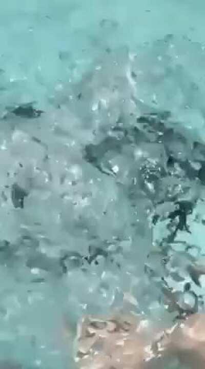 get it fast before it gets taken down 😍 b.link/Lilx