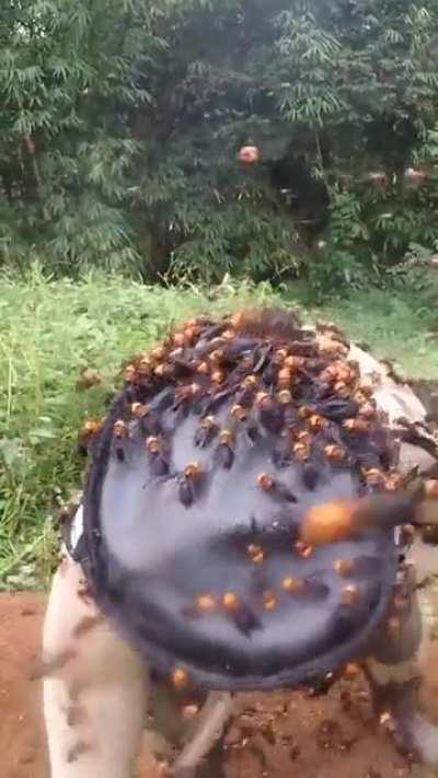 Not in the USA. In their home country.