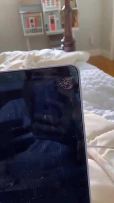 Filming your cat instead of pulling your cat off