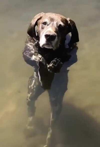 Need another reason to fear the deep?