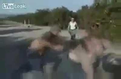 Did anyone ever find out what happened to Thomas? He wasn't doing so great by the end of the video