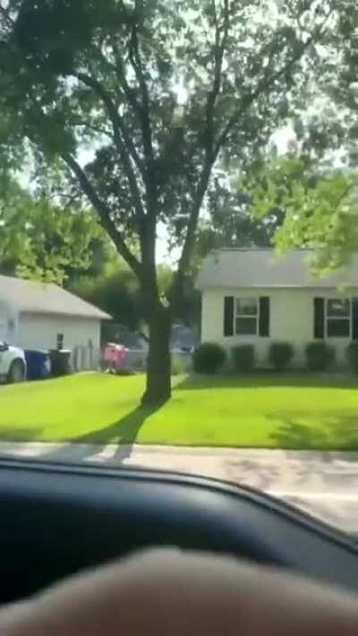 Bully's gonna beat your dick...