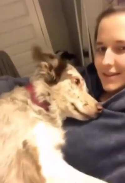 Hey, look at my crush's second bed mate