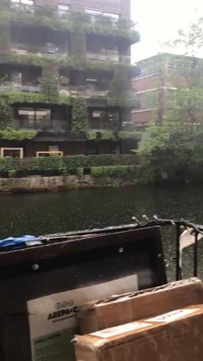 Caught a heron at work during a storm