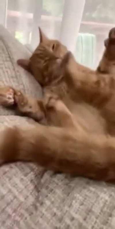 Still getting the hang of this