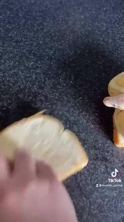 Times are getting tough 😔