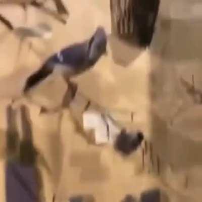 That's not what he sounds like