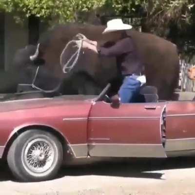 Now I've seen it all