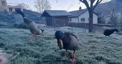 Here is more footages of Barbara and the crew early this morning