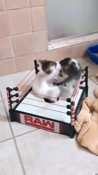 The first rule of the Wunkyclub is: ______