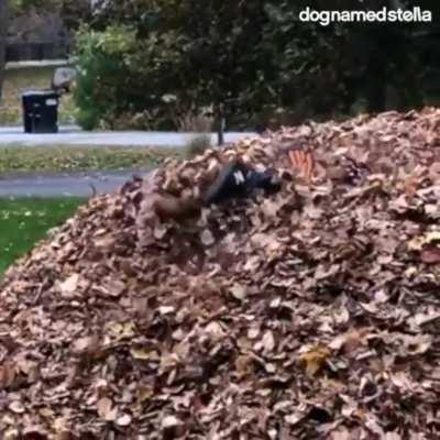 ill just leave this here