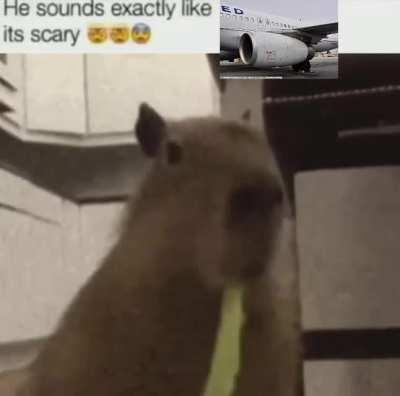 The IAE sounds way better than the CFM, change my mind