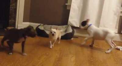 Ah, so that's how that works.