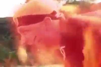 better than any netflix adaptation