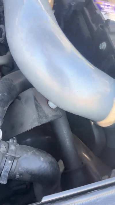 Whining noise from veloster intake
