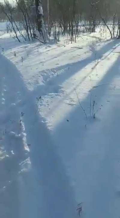 He didn&rsquo;t have big game hunting license that day