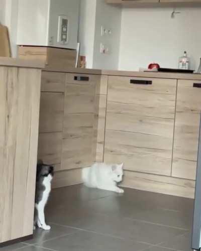 “You have no idea what I’ve just been through!”