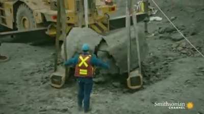 Excavation of a 110 million years old fossil found in a mine in Alberta