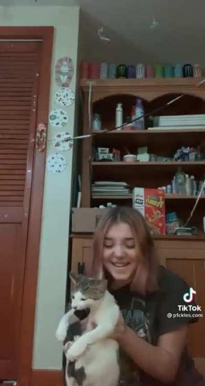 “My cat doesn’t scratch” The cat: