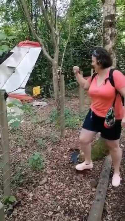 HMC while I electrocute myself