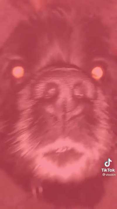 even though its in finnish, its still pretty random