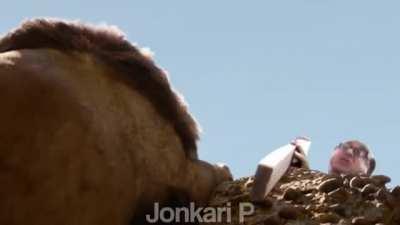 🦀 🦀 🦀 MUFASA IS GONE 🦀 🦀 🦀