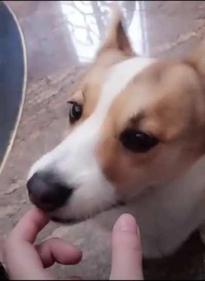 You think you're funny don't you?