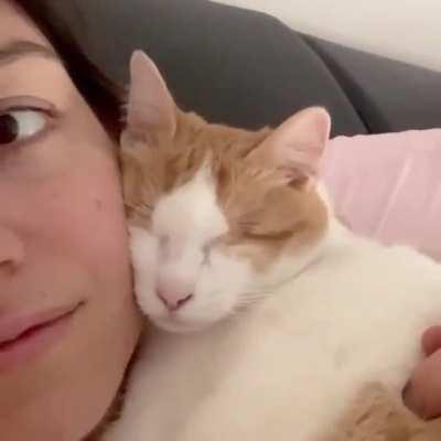 A very sweet blind kitty snuggling up to their human