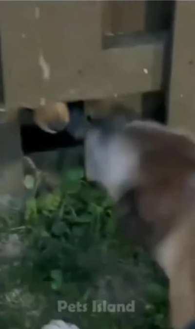 The end just floors me 😂😂😂😂😂