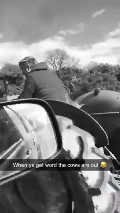 Typical culchie. And I mean that in a good way.