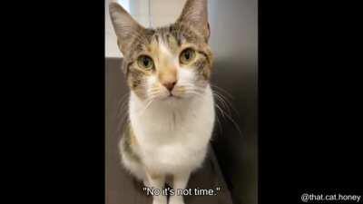 When your mom says you can’t have a second helping....