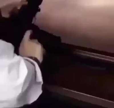 I dont know what this is, but its perfect