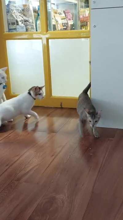 How do I stop these Naruto type fights 😭😭