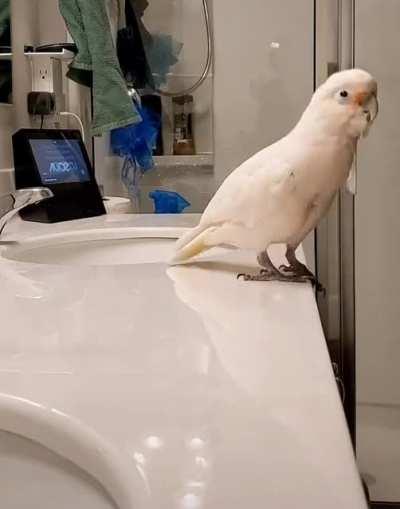 Partying in the club bathroom